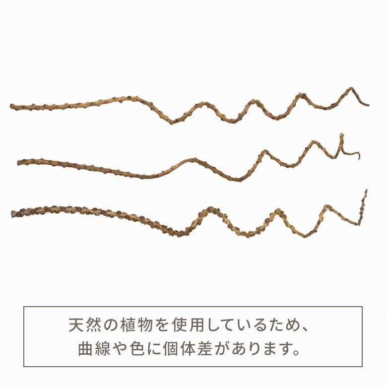 アートプランツ フラワー 花 枝 プランツ オブジェ パームツリー ゴールド アジアン 造花 置き物 雑貨 ナチュラル フェイク 和風 インテリア アジア工房 10950 | ブランド登録なし | 11