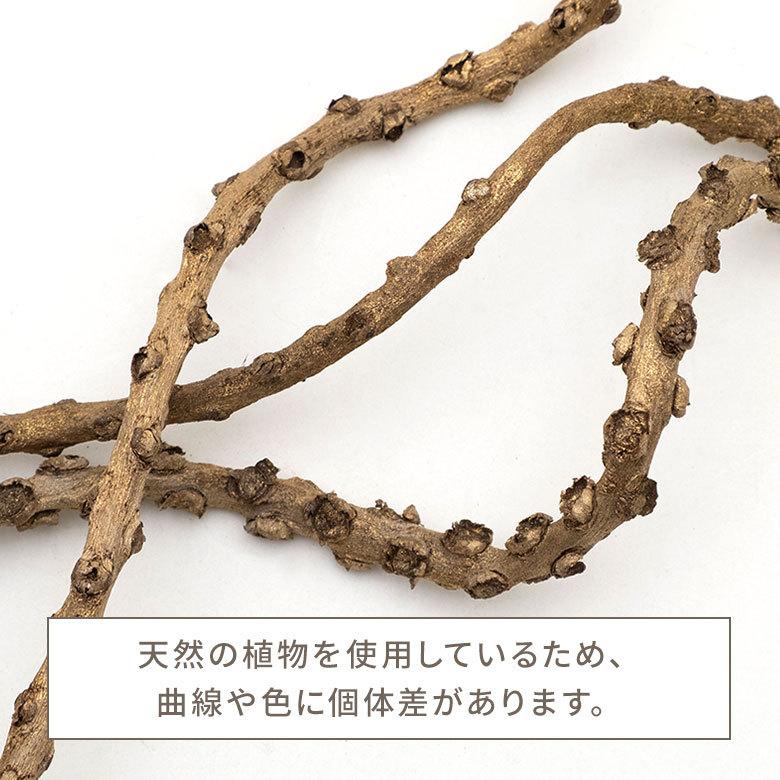 アートプランツ フラワー 花 枝 プランツ オブジェ パームツリー ゴールド アジアン 造花 置き物 雑貨 ナチュラル フェイク 和風 インテリア アジア工房 10950 | ブランド登録なし | 12