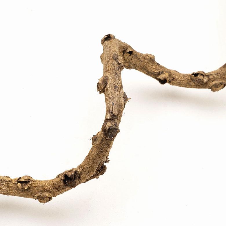 アートプランツ フラワー 花 枝 プランツ オブジェ パームツリー ゴールド アジアン 造花 置き物 雑貨 ナチュラル フェイク 和風 インテリア アジア工房 10950 | ブランド登録なし | 06