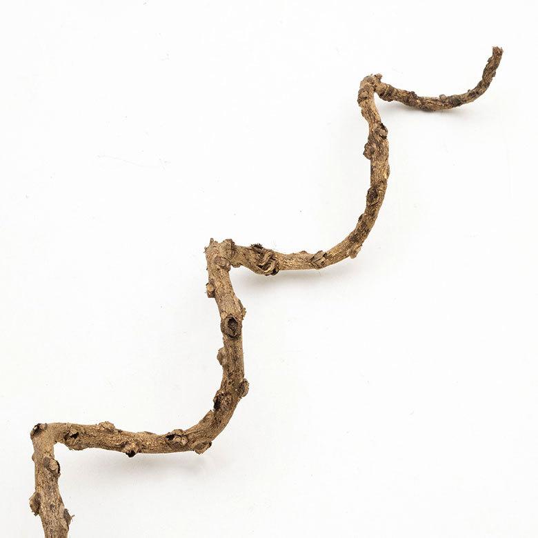 アートプランツ フラワー 花 枝 プランツ オブジェ パームツリー ゴールド アジアン 造花 置き物 雑貨 ナチュラル フェイク 和風 インテリア アジア工房 10950 | ブランド登録なし | 08