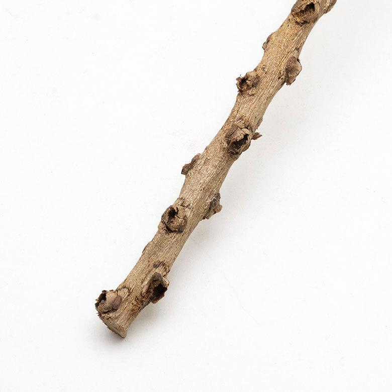 アートプランツ フラワー 花 枝 プランツ オブジェ パームツリー ゴールド アジアン 造花 置き物 雑貨 ナチュラル フェイク 和風 インテリア アジア工房 10950 | ブランド登録なし | 09