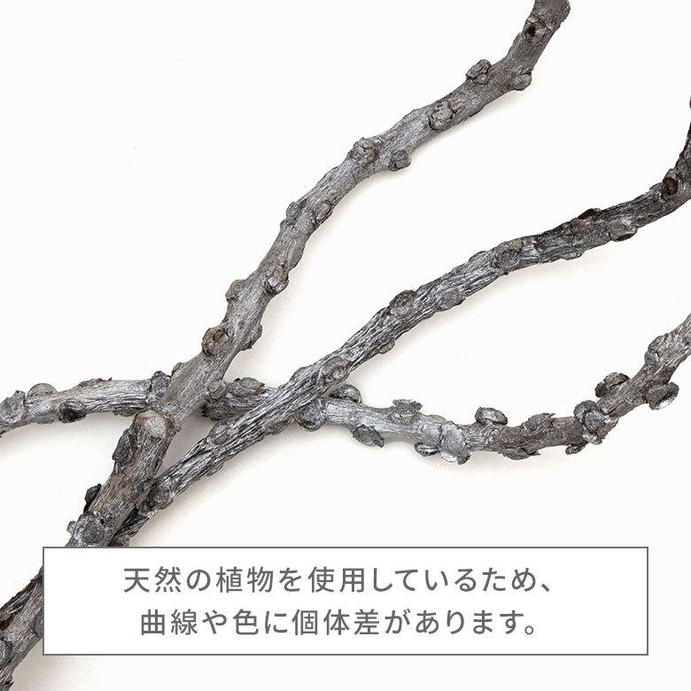 アートプランツ フラワー 花 枝 プランツ オブジェ パームツリー シルバー アジアン 造花 置き物 雑貨 ナチュラル フェイク 和風 インテリア アジア工房 10951 | ブランド登録なし | 12