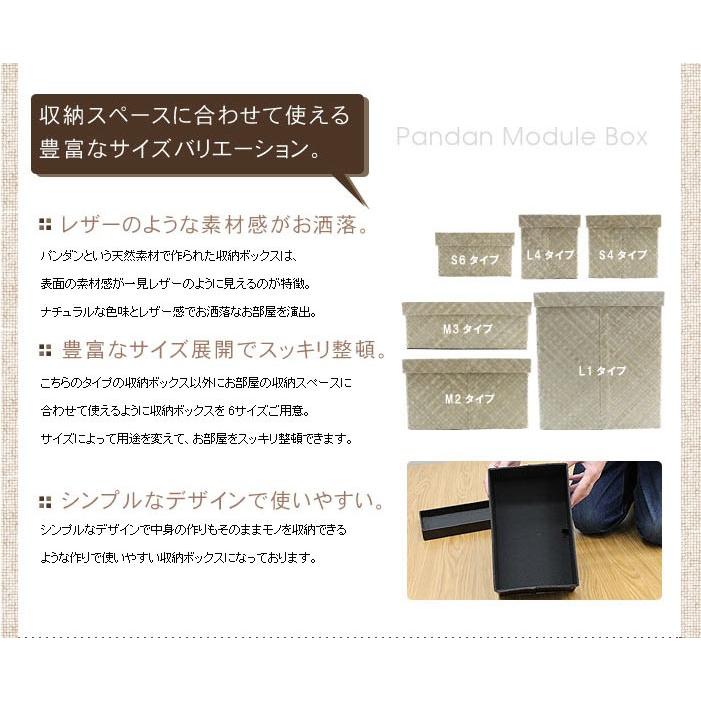 パンダンのモジュール収納ケース ナチュラル S6 アジア工房 11364 | ブランド登録なし | 01