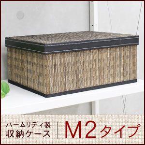 パームリディのモジュール収納ケース M2 アジア工房 11377 | ブランド登録なし