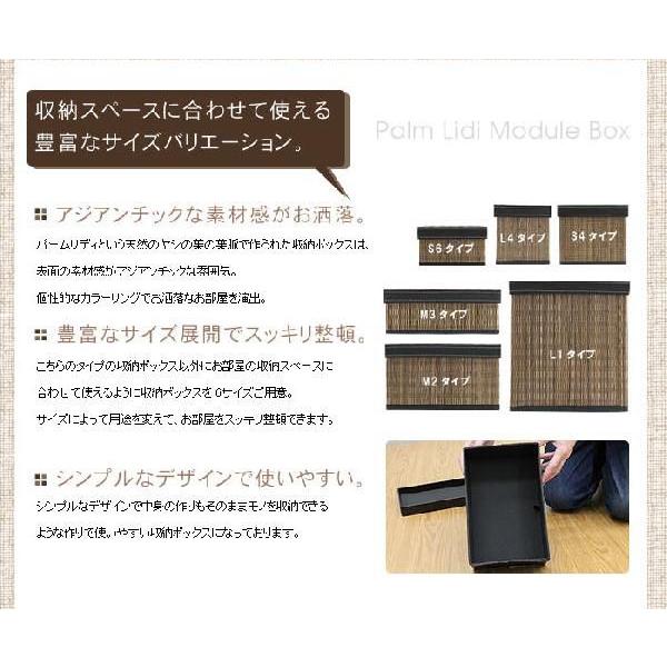 パームリディのモジュール収納ケース M2 アジア工房 11377 | ブランド登録なし | 01