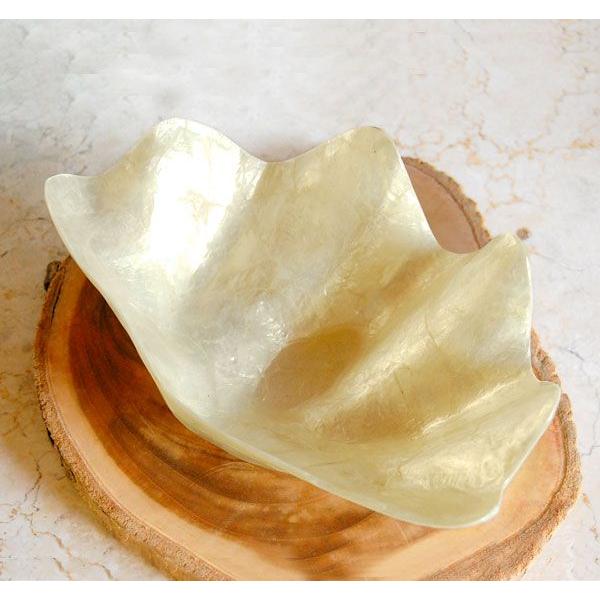 貝殻の形をしたカピスシェルの小物入れトレイ アジア工房 11555 | ブランド登録なし | 01