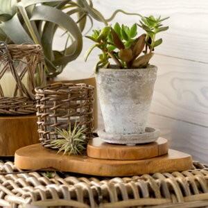 輪切り 切り株 木 丸太 チークウッド ステージトレイ ステージトレー 切株 スライス 小物置き 天然木製 アジア工房 11830 | ELEMENTS（インテリア） | 03