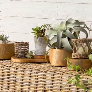 輪切り 切り株 木 丸太 チークウッド ステージトレイ ステージトレー 切株 スライス 小物置き 天然木製 アジア工房 11830 | ELEMENTS（インテリア） | 05