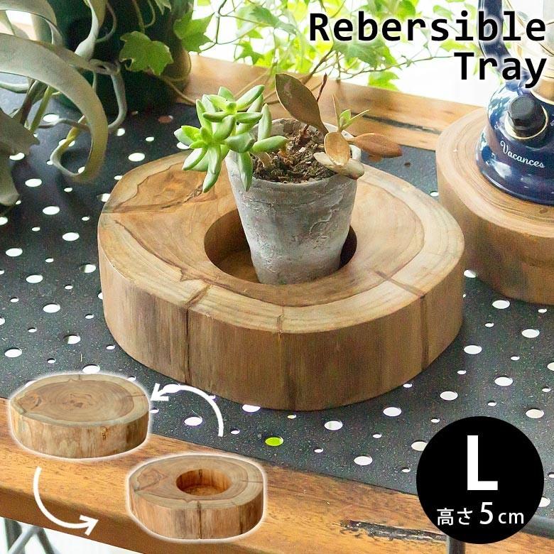 輪切り 切り株 木 丸太 約20×5cm チークウッド ステージトレイ 輪切り 切り株 木 丸太 約20×5cm チークウッド ステージトレイ