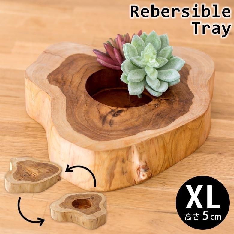 輪切り 切り株 木 丸太 約25×5cm チークウッド ステージトレイ