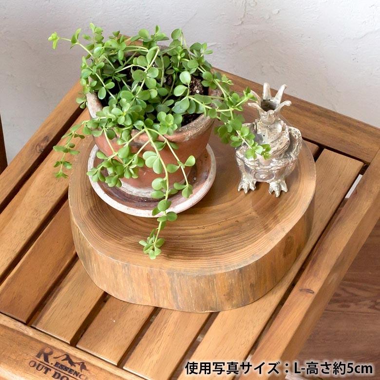 輪切り 切り株 木 丸太 約25×5cm チークウッド ステージトレイ
