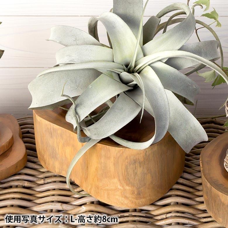 輪切り 切り株 木 丸太 約25×8cm チークウッド ステージトレイ