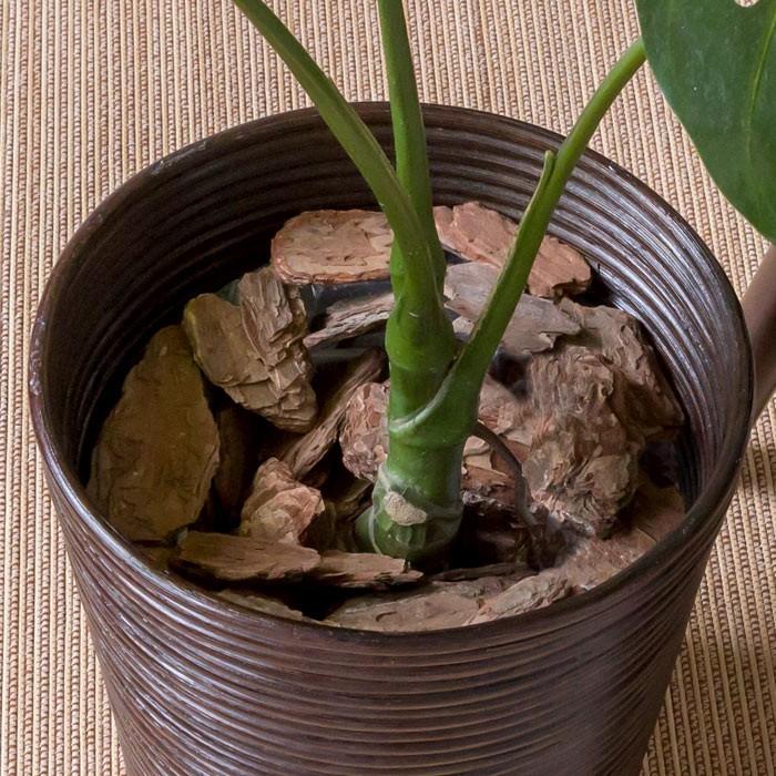 バスケット ゴミ箱 ごみ箱 ダストボックス ラタン 丸型 Mサイズ プランター カバー 収納 鉢カバー かご ランドリー ナチュラル アジア工房 13050 | ブランド登録なし | 08