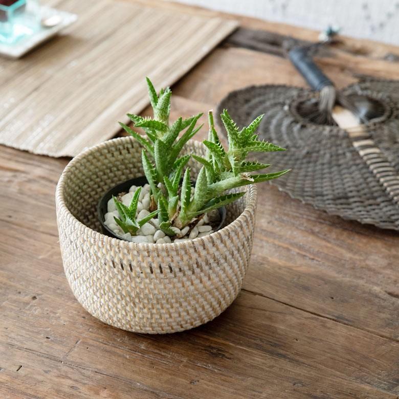 プランターカバー ラタン製 ホワイトウォッシュ 丸型 ラウンドバスケット 植木鉢カバー プランツ 小型プランター 観葉植物 グリーン アジアン雑貨 13466 | ブランド登録なし | 08