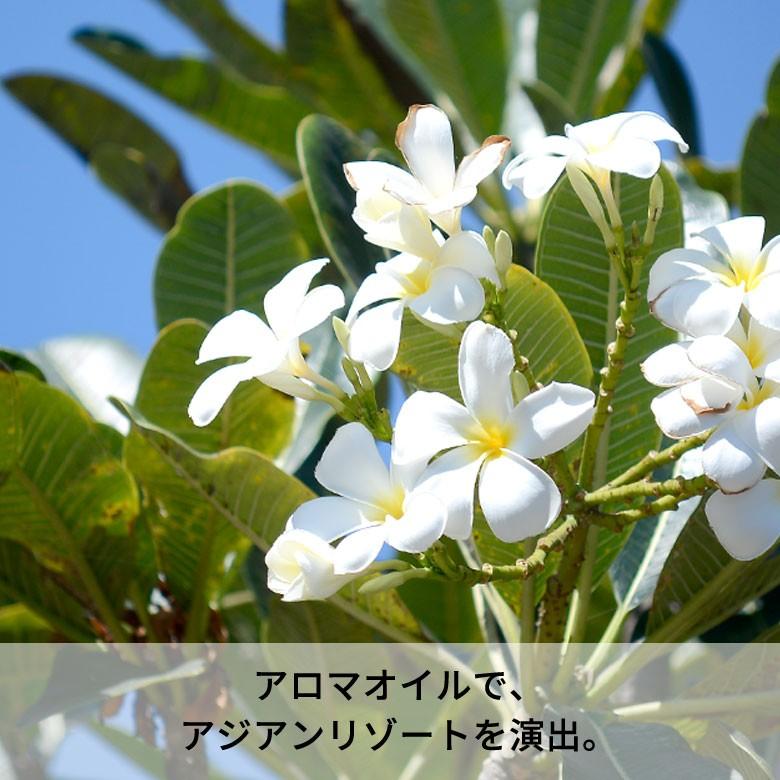 アロマオイル ラベンダーティーツリー インティバリ 8ml 精油 エッセンシャルオイル アジアン 雑貨 アジアン雑貨 バリ リゾート 13854 | ブランド登録なし | 15