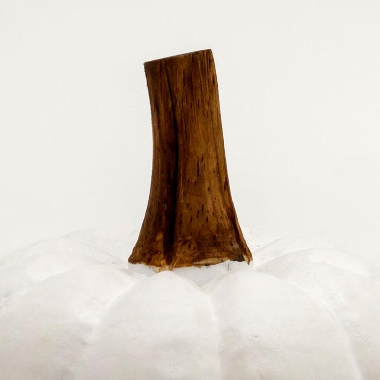 パンプキン Sサイズ 置物 オブジェ かぼちゃ ハロウィン パーティー グッズ 雑貨 ブラック 木彫り DIY デコレーション コーディネート おしゃれ 13963 | ELEMENTS（インテリア） | 14