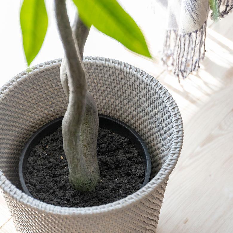 ゴミ箱 ダストボックス おしゃれ バスケット かご カゴ ラタン 籐 ホワイト ナチュラル 約 W 27.5cm D 27.5cm H 28cm 13976 プランターカバー 7号鉢 | ELEMENTS（インテリア） | 12