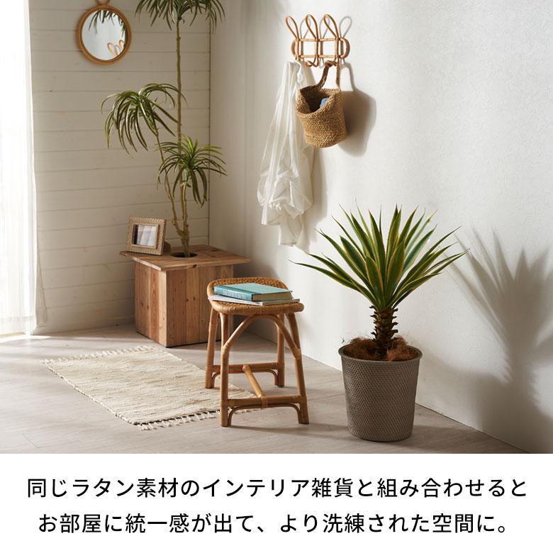 フック ラタン 籐 天然素材 ウォール ハンガー 3連 幅 40cm ナチュラル ベージュ 壁掛け 壁面 インテリア 軽量 おしゃれ 北欧 リゾート 雑貨 西海岸 14032 | ELEMENTS（インテリア） | 08
