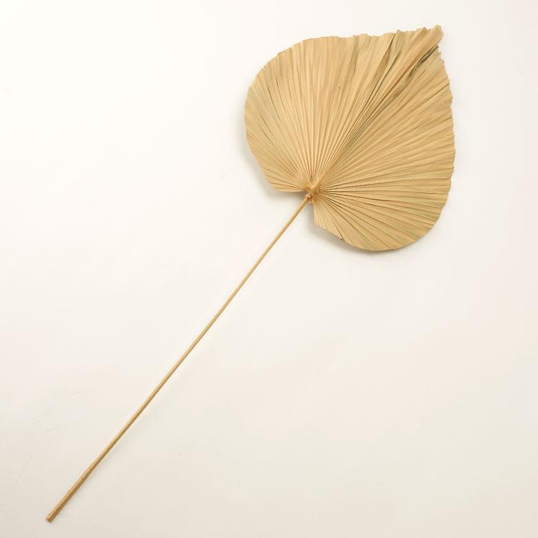 ドライフラワー ヤシ パームリーフ ヤシの葉 ドライプランツ 観葉植物 花材 スペード型 リーフ オブジェ おしゃれ リゾート 雑貨 インテリア 北欧 西海岸 14066 | ブランド登録なし | 14