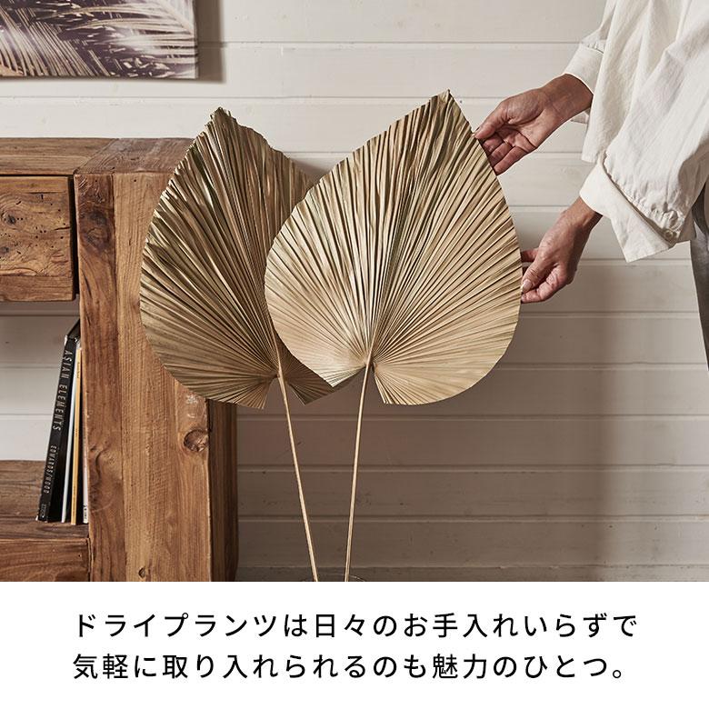 ドライフラワー ヤシ パームリーフ ヤシの葉 ドライプランツ 観葉植物 花材 スペード型 リーフ オブジェ おしゃれ リゾート 雑貨 インテリア 北欧 西海岸 14066 | ブランド登録なし | 05