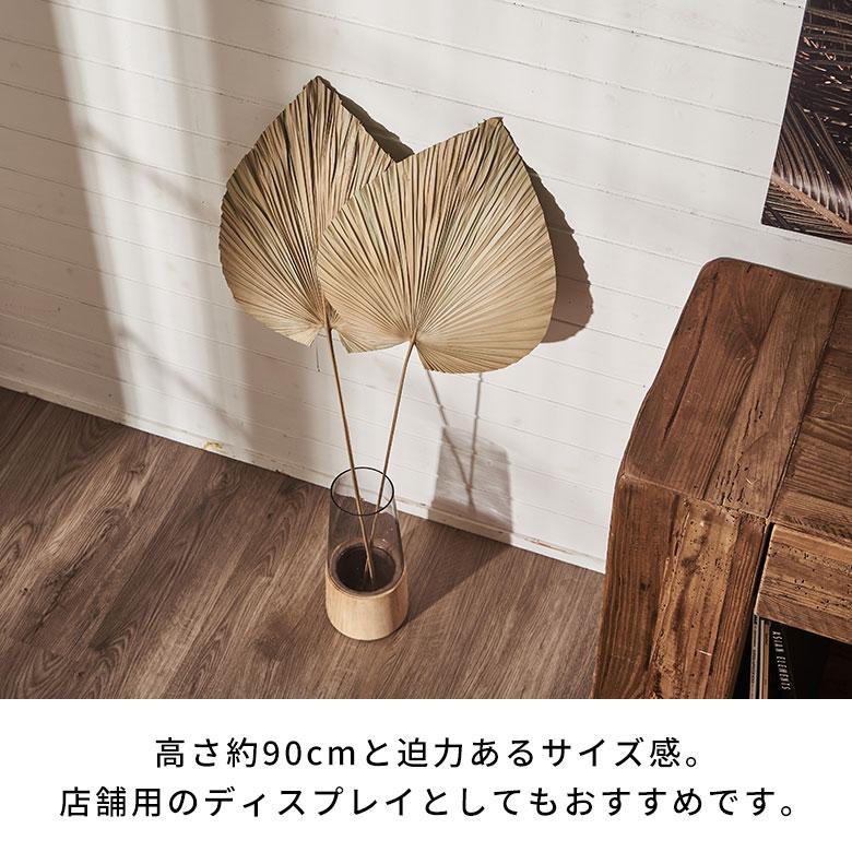 ドライフラワー ヤシ パームリーフ ヤシの葉 ドライプランツ 観葉植物 花材 スペード型 リーフ オブジェ おしゃれ リゾート 雑貨 インテリア 北欧 西海岸 14066 | ブランド登録なし | 06