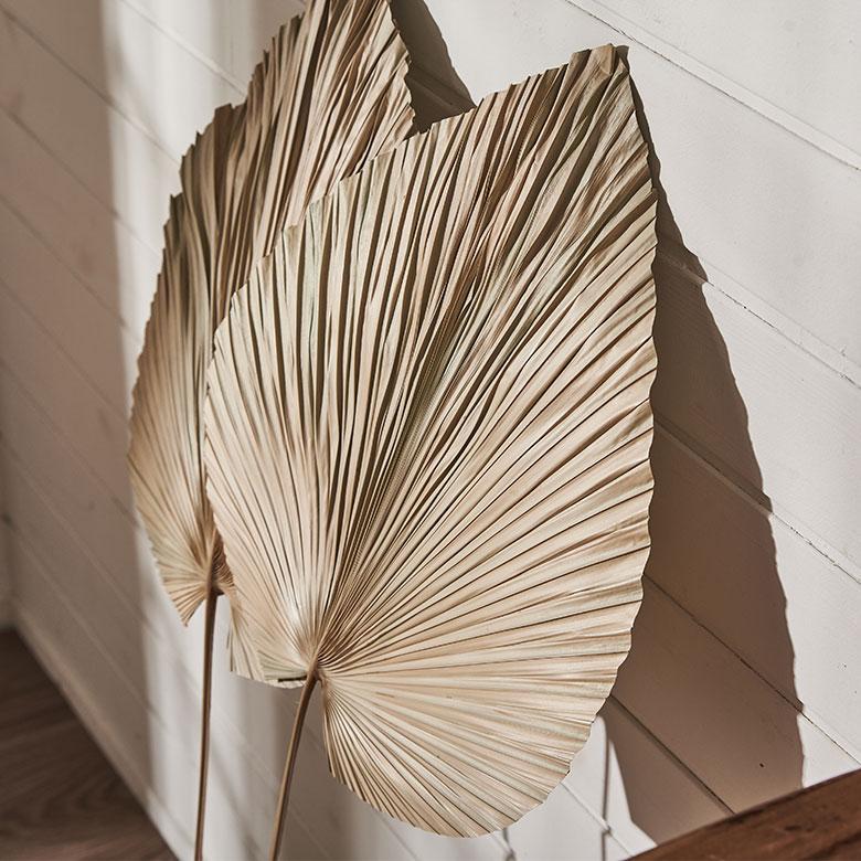 ドライフラワー ヤシ パームリーフ ヤシの葉 ドライプランツ 観葉植物 花材 スペード型 リーフ オブジェ おしゃれ リゾート 雑貨 インテリア 北欧 西海岸 14066 | ブランド登録なし | 08