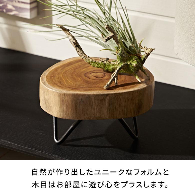 デコレーション トレイ 脚 付き 天然 木 製 アイアン 飾り 花 台 植物 アクセサリー 置き プランター スタンド おしゃれ 北欧 雑貨 インテリア 西海岸 14089｜elements｜03