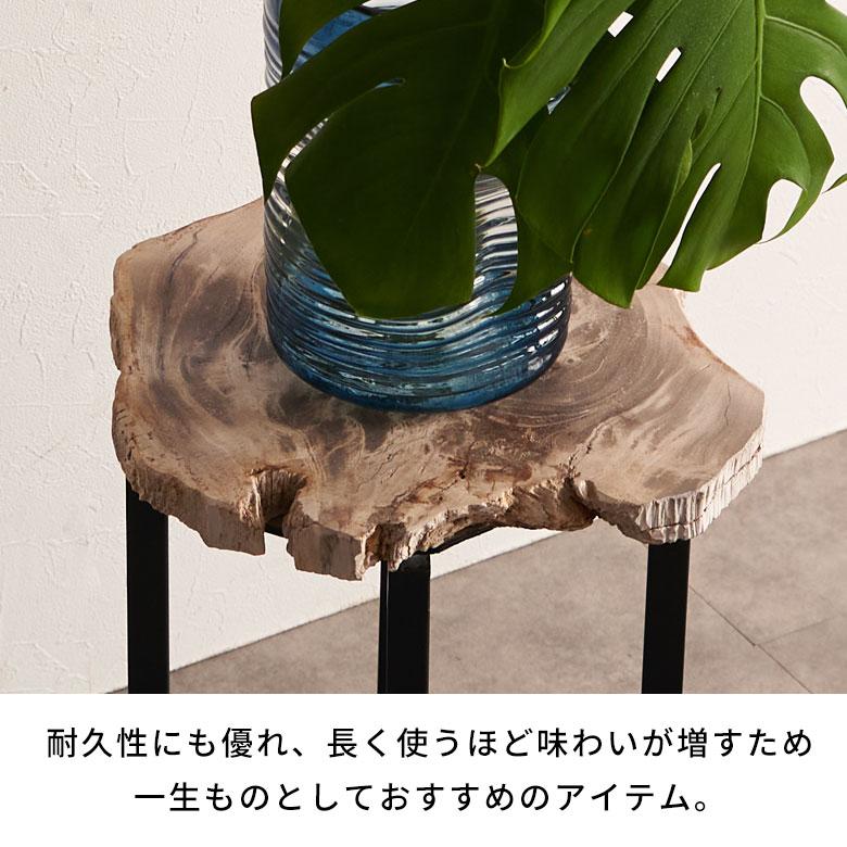 サイドテーブル おしゃれ 木製 アイアン 脚 ソファ テーブル ナイトテーブル 無垢 完成品 フラワースタンド 珪化木 北欧 リゾート 家具 インテリア 西海岸 14242 | ELEMENTS（インテリア） | 12
