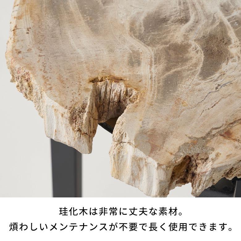 サイドテーブル おしゃれ 木製 アイアン 脚 ソファ テーブル ナイトテーブル 無垢 完成品 フラワースタンド 珪化木 北欧 リゾート 家具 インテリア 西海岸 14242 | ELEMENTS（インテリア） | 14