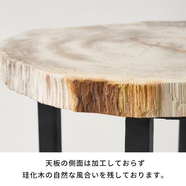 サイドテーブル おしゃれ 木製 アイアン 脚 ソファ テーブル ナイトテーブル 無垢 完成品 フラワースタンド 珪化木 北欧 リゾート 家具 インテリア 西海岸 14242 | ELEMENTS（インテリア） | 15