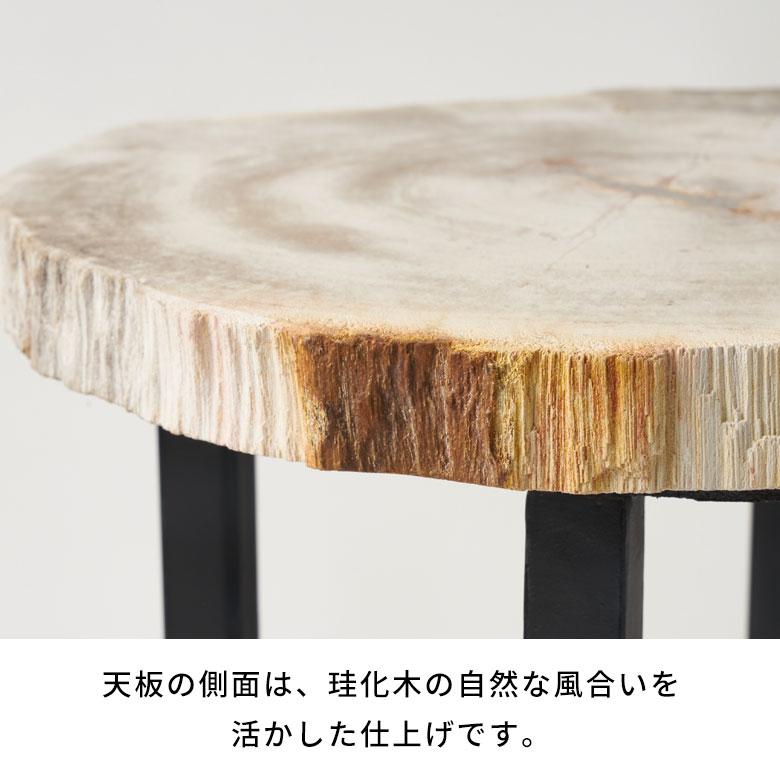 サイドテーブル おしゃれ 木製 アイアン 脚 ソファ テーブル ナイトテーブル 無垢 完成品 フラワースタンド 珪化木 北欧 リゾート 家具 インテリア 西海岸 14242 | ELEMENTS（インテリア） | 15
