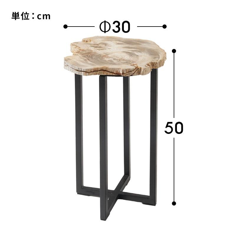 サイドテーブル おしゃれ 木製 アイアン 脚 ソファ テーブル ナイトテーブル 無垢 完成品 フラワースタンド 珪化木 北欧 リゾート 家具 インテリア 西海岸 14242 | ELEMENTS（インテリア） | 16