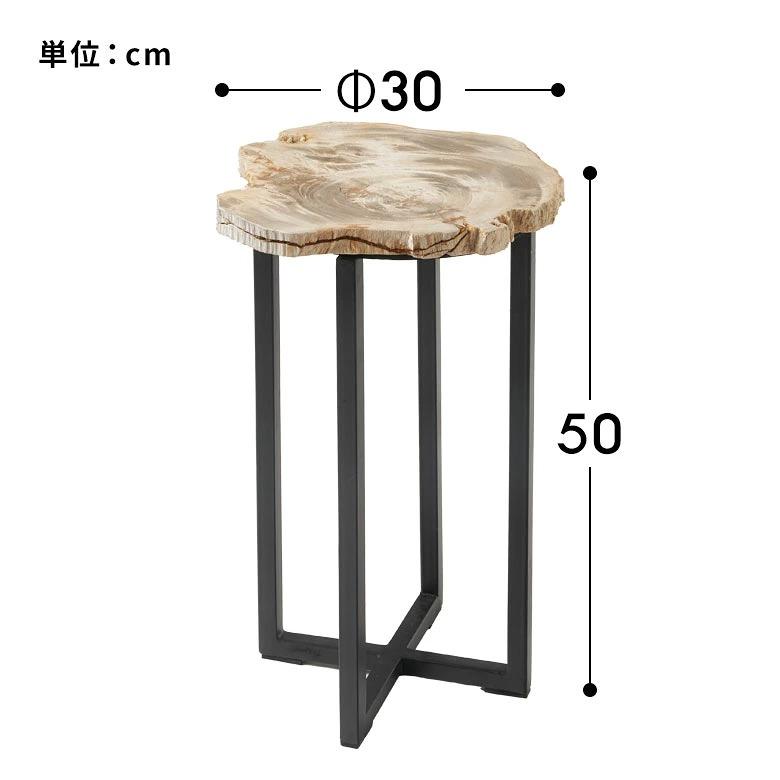 サイドテーブル おしゃれ 木製 アイアン 脚 ソファ テーブル ナイトテーブル 無垢 完成品 フラワースタンド 珪化木 北欧 リゾート 家具 インテリア 西海岸 14242 | ELEMENTS（インテリア） | 16