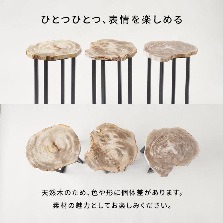 サイドテーブル おしゃれ 木製 アイアン 脚 ソファ テーブル ナイトテーブル 無垢 完成品 フラワースタンド 珪化木 北欧 リゾート 家具 インテリア 西海岸 14242 | ELEMENTS（インテリア） | 17