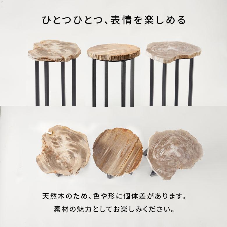 サイドテーブル おしゃれ 木製 アイアン 脚 ソファ テーブル ナイトテーブル 無垢 完成品 フラワースタンド 珪化木 北欧 リゾート 家具 インテリア 西海岸 14242 | ELEMENTS（インテリア） | 17