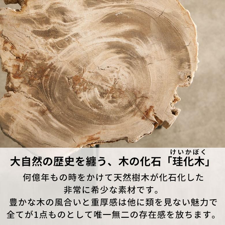 サイドテーブル おしゃれ 木製 アイアン 脚 ソファ テーブル ナイトテーブル 無垢 完成品 フラワースタンド 珪化木 北欧 リゾート 家具 インテリア 西海岸 14242 | ELEMENTS（インテリア） | 06