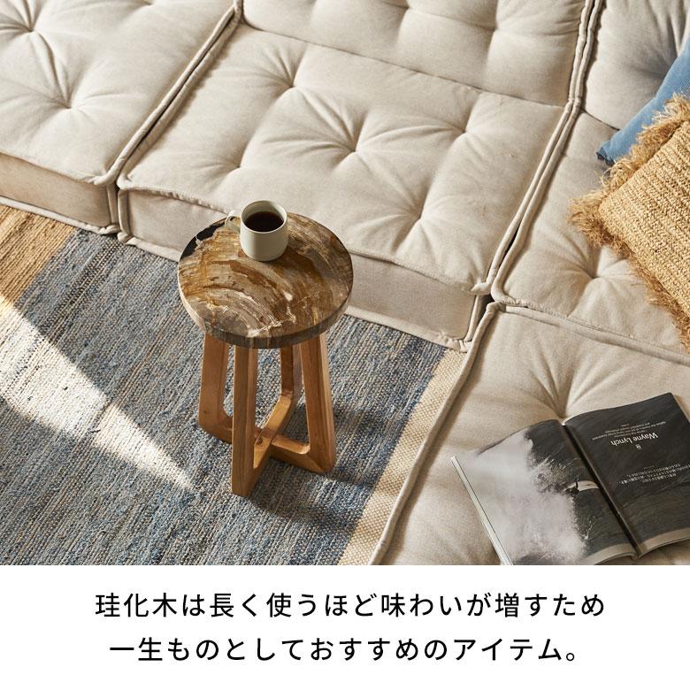 サイドテーブル おしゃれ 木製 ウッド 脚 ソファ テーブル ナイトテーブル 無垢 完成品 フラワースタンド 珪化木 北欧 リゾート 家具 インテリア 西海岸 14243 | ELEMENTS（インテリア） | 10