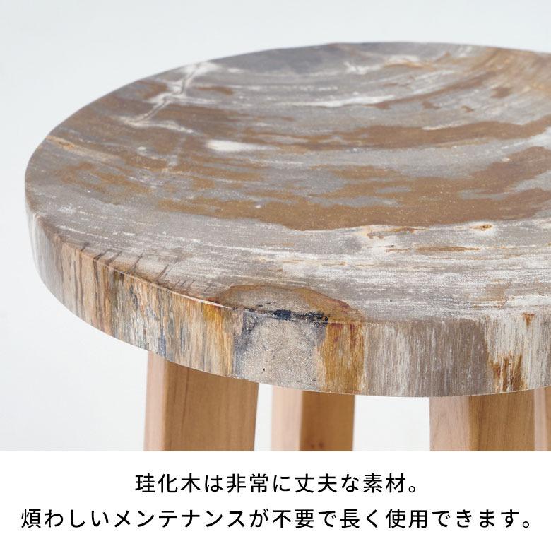 サイドテーブル おしゃれ 木製 ウッド 脚 ソファ テーブル ナイトテーブル 無垢 完成品 フラワースタンド 珪化木 北欧 リゾート 家具 インテリア 西海岸 14243 | ELEMENTS（インテリア） | 14