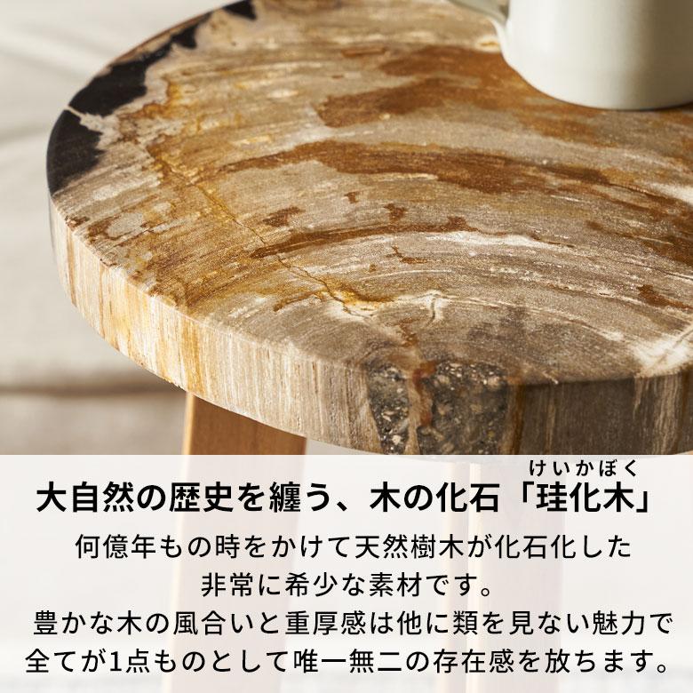 サイドテーブル おしゃれ 木製 ウッド 脚 ソファ テーブル ナイトテーブル 無垢 完成品 フラワースタンド 珪化木 北欧 リゾート 家具 インテリア 西海岸 14243 | ELEMENTS（インテリア） | 06