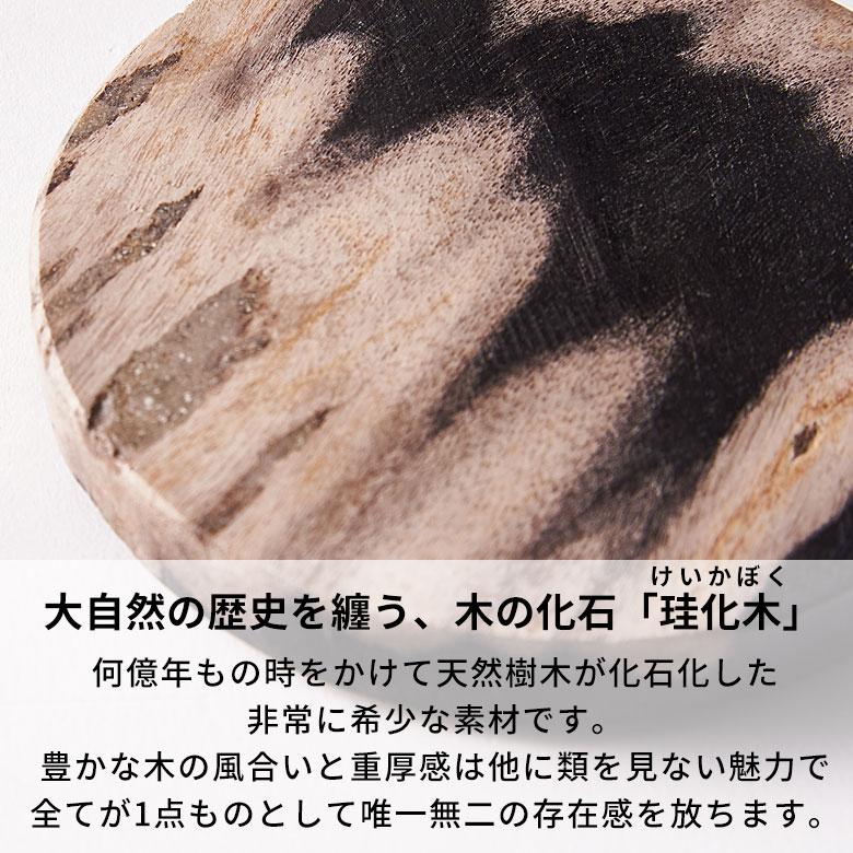 コースター おしゃれ アクセサリートレイ 置物 飾り 玄関 小物置き 4枚セット 石 オブジェ 木の化石 天然木 珪化木 北欧 リゾート 雑貨 インテリア 西海岸 14248 | ELEMENTS（インテリア） | 06