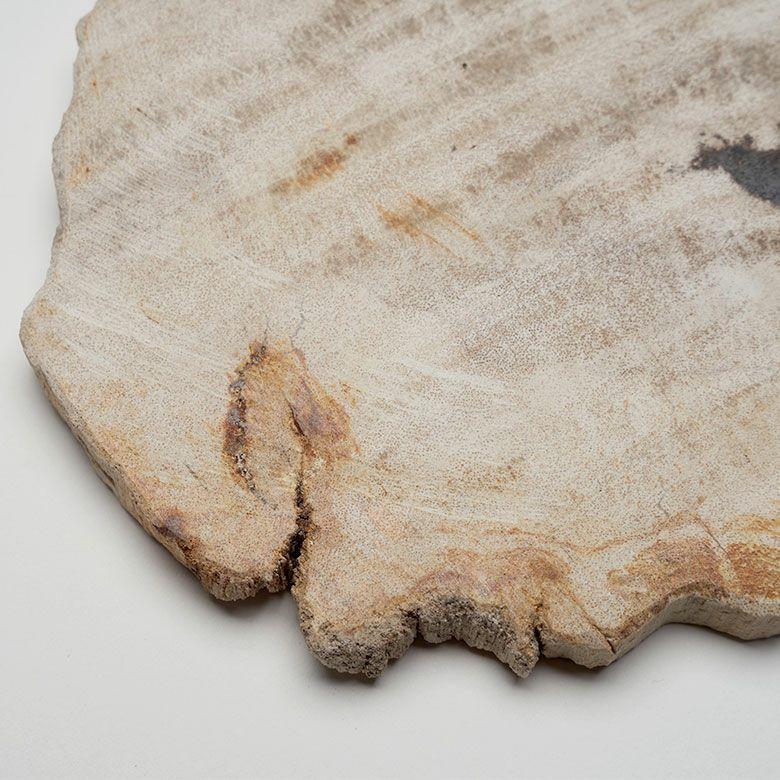 トレー 木化石 トレイ デコレーショントレイ おしゃれ アクセサリートレイ 4枚 珪化木 ウッド 置物 小物置き おしゃれ 北欧 リゾート インテリア 西海岸 14317 | ELEMENTS（インテリア） | 10