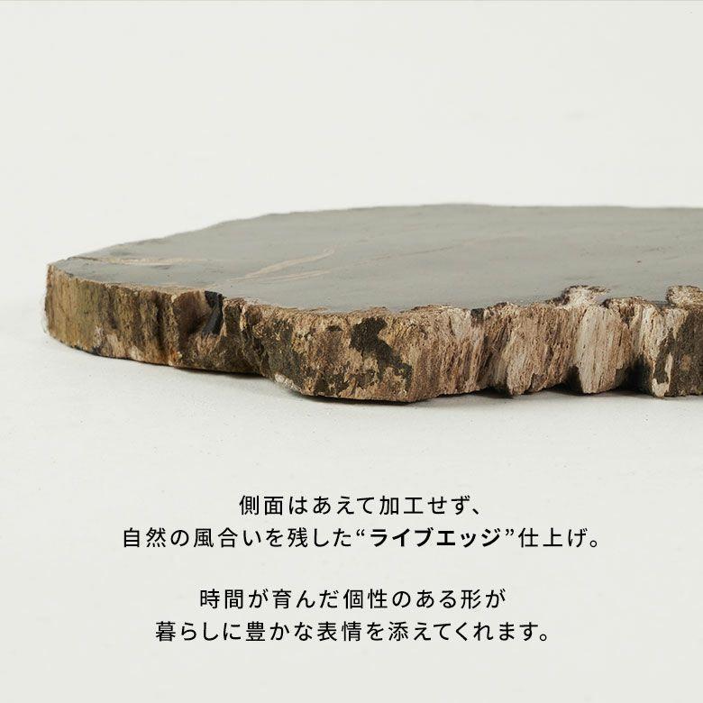 トレー 木化石 トレイ デコレーショントレイ おしゃれ アクセサリートレイ 4枚 珪化木 ウッド 置物 小物置き おしゃれ 北欧 リゾート インテリア 西海岸 14317 | ELEMENTS（インテリア） | 12