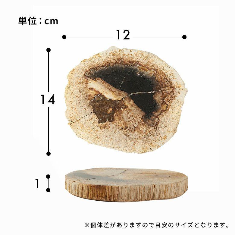 トレー 木化石 トレイ デコレーショントレイ おしゃれ アクセサリートレイ 4枚 珪化木 ウッド 置物 小物置き おしゃれ 北欧 リゾート インテリア 西海岸 14317 | ELEMENTS（インテリア） | 13