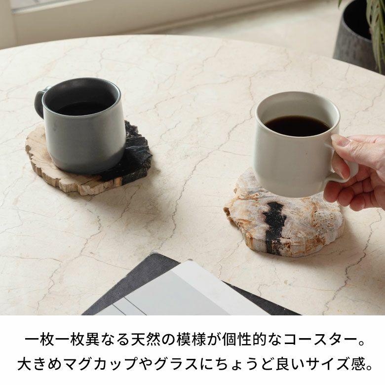 トレー 木化石 トレイ デコレーショントレイ おしゃれ アクセサリートレイ 4枚 珪化木 ウッド 置物 小物置き おしゃれ 北欧 リゾート インテリア 西海岸 14317 | ELEMENTS（インテリア） | 01