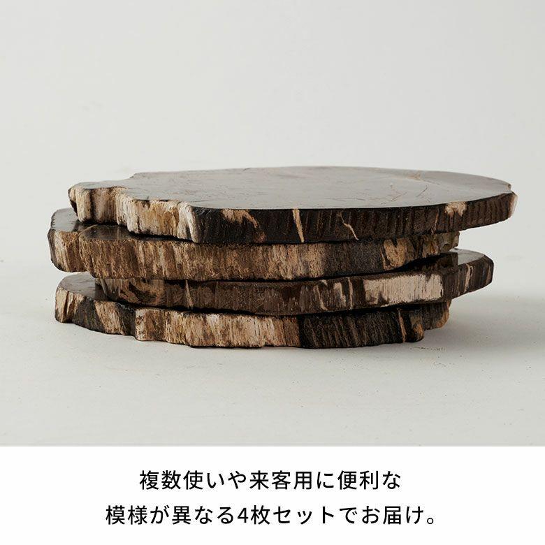 トレー 木化石 トレイ デコレーショントレイ おしゃれ アクセサリートレイ 4枚 珪化木 ウッド 置物 小物置き おしゃれ 北欧 リゾート インテリア 西海岸 14317 | ELEMENTS（インテリア） | 07