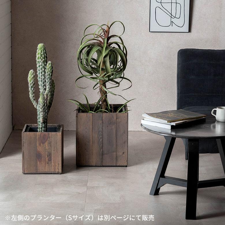 プランターカバー ウッド ボックス スクエア型 Mサイズ 7号用 インナーポット付き 底穴なし 外寸 33.5cm×33.5cm×35cm Botanique ボタニーク 鉢 植木鉢 b-51 | ブランド登録なし | 14