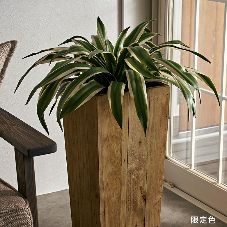 プランター カバー ウッド プランター ボックス トールスクエア型 5号用 インナーポット付き 底穴なし 木製 外寸 幅24.5cm 奥行24.5cm 高さ55cm Botanique p-51 | ブランド登録なし | 14