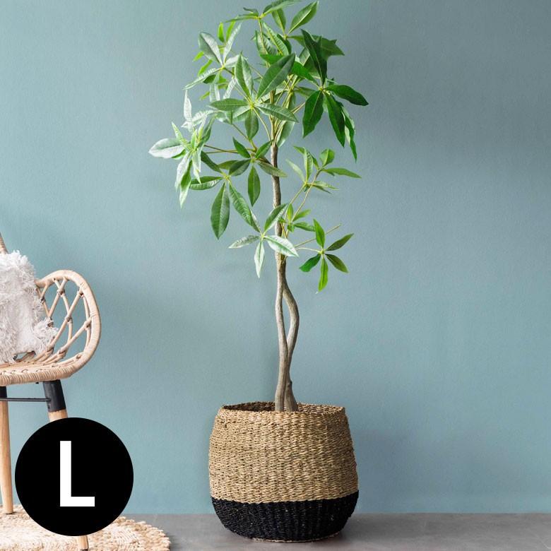 プランターカバー ゴミ箱 バスケット かご シーグラス Lサイズ ブラック 黒 収納バスケット 収納かご 小物入れ 51240 | ブランド登録なし