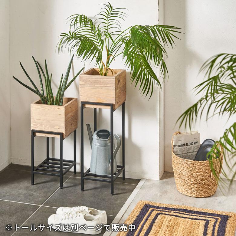 プランター スタンド 脚付き アイアン 木製 パイン材 ショート 正方形 5号鉢対応 約 W 20cm D 22.8cm H 45.4cm ボタニーク Botanique シェルフ カバー g-51 | ELEMENTS（インテリア） | 07