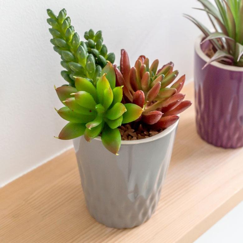 コップ タンブラー 陶器 タンブラーカップ 200ml 取っ手なし キッチン用品 6108 | ELEMENTS（インテリア） | 04